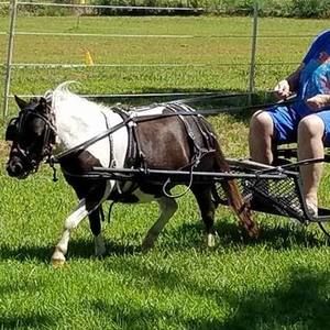 Meet your Posher, Julie